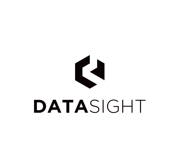 datasight-1